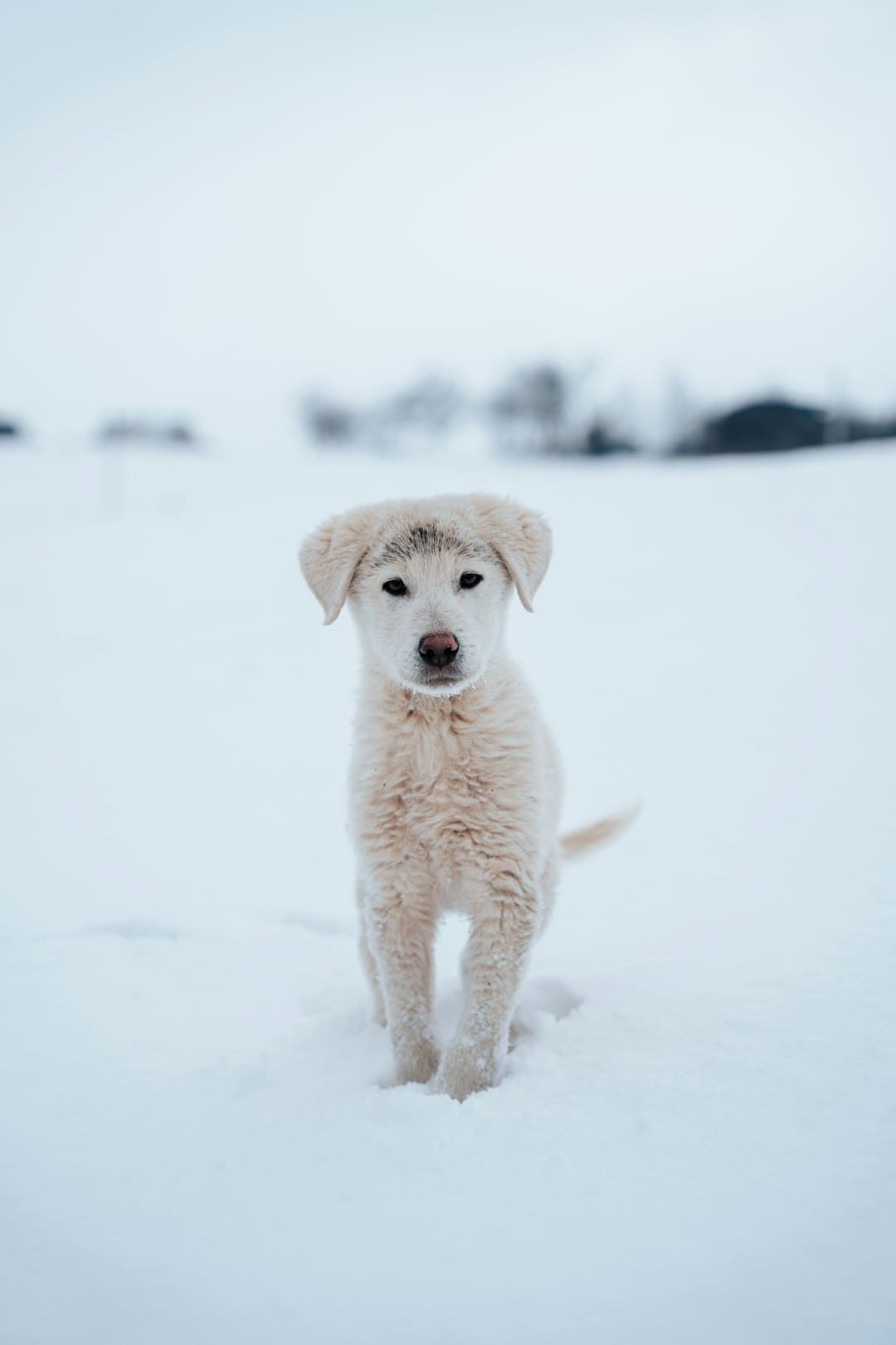 https://static.ws.126.net/163/frontend/images/2022/empty.png